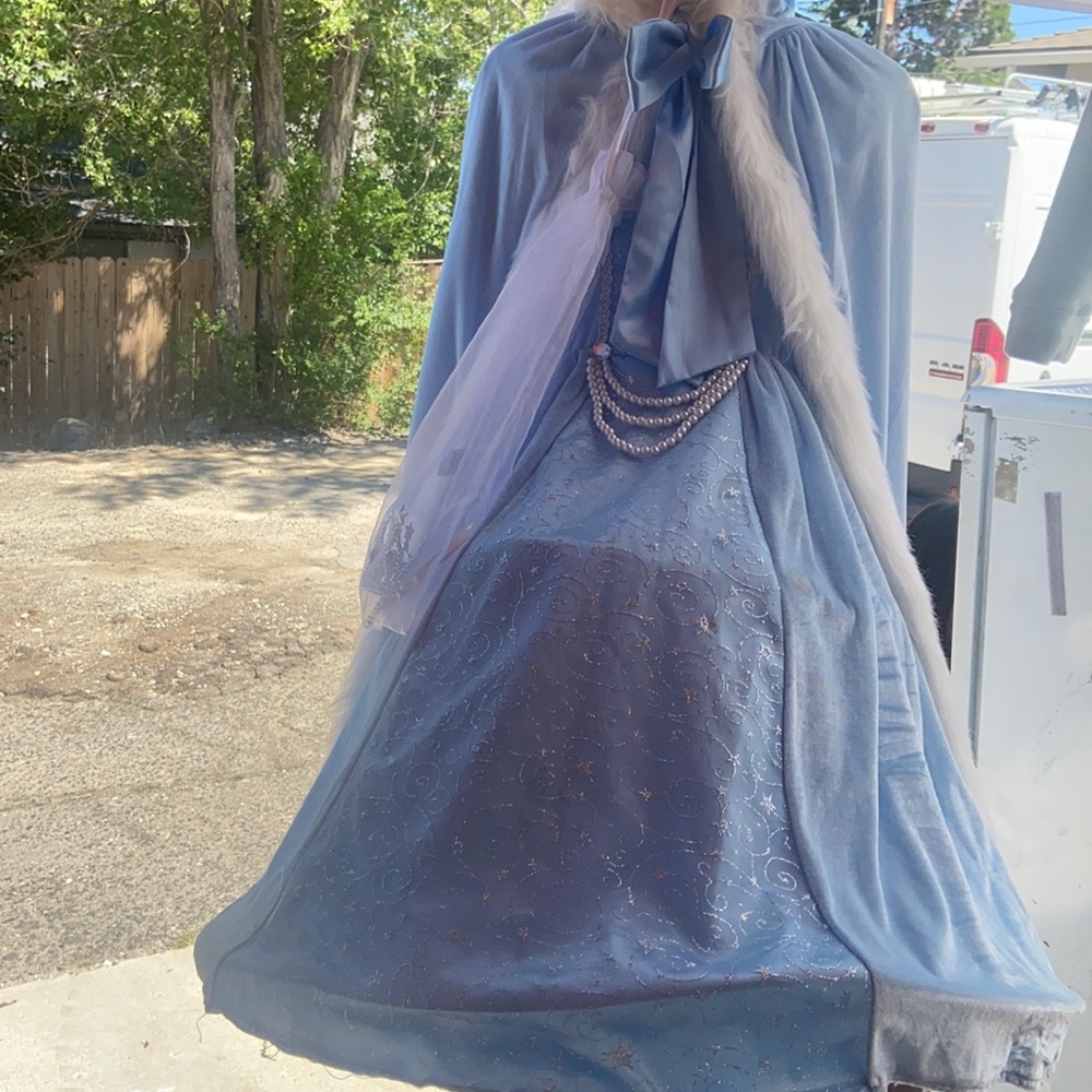 Beautiful princess costume
